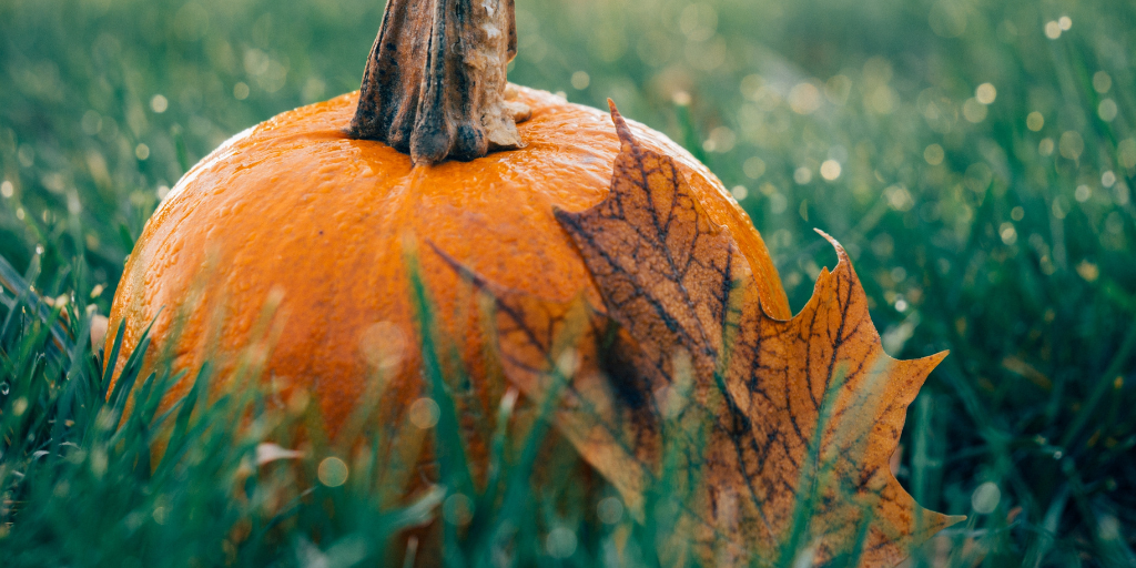 Ways to make a fun fall activity with your kid
