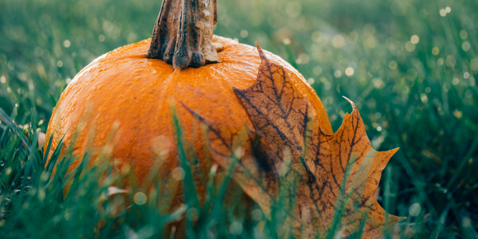 Easy, Fun Fall Activities