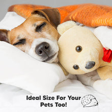 Load image into Gallery viewer, 1-Pack Toddler Pillow Without Pillowcase
