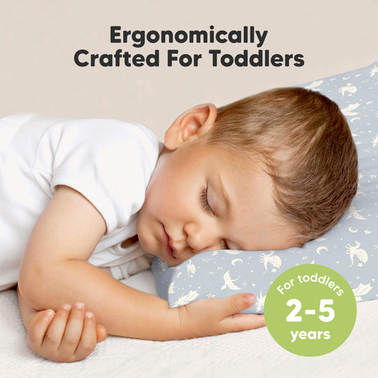 2-Pack Toddler Pillows Without Pillowcase (Dragons)
