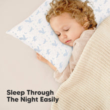 Load image into Gallery viewer, 2-Pack Toddler Pillows Without Pillowcase (Dragons)
