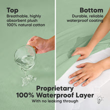 Load image into Gallery viewer, 2-Pack Quin Protect+ Waterproof Crib Mattress Protector (Lagoon)
