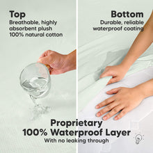 Load image into Gallery viewer, 2-Pack Quin Protect+ Waterproof Crib Mattress Protector (Soft Fern)
