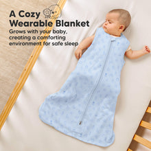 Load image into Gallery viewer, 2-Pack Snooze Sleep Sacks (ABC Land Sky)
