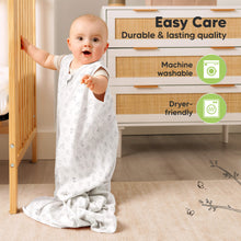 Load image into Gallery viewer, 2-Pack Snooze Sleep Sacks (ABC Land Sky)
