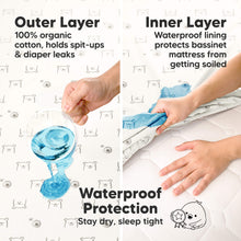 Load image into Gallery viewer, 2-Pack Soothe [Protect+] Waterproof Bassinet Sheets (Bumble Bear)
