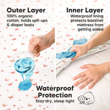 Load image into Gallery viewer, 2-Pack Soothe [Protect+] Waterproof Bassinet Sheets (Butterflies)
