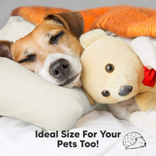 Load image into Gallery viewer, 2-Pack Toddler Pillows Without Pillowcase (Clay)
