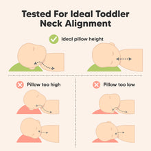 Load image into Gallery viewer, 2-Pack Toddler Pillows Without Pillowcase (Herb)
