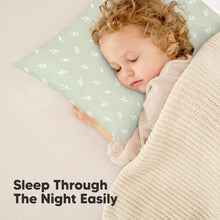 Load image into Gallery viewer, 2-Pack Toddler Pillows Without Pillowcase (Herb)
