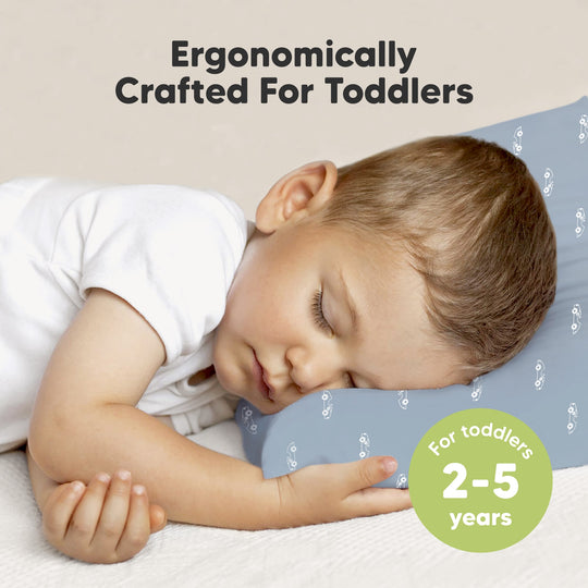 2-Pack Toddler Pillows Without Pillowcase (Roadsters)