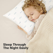 Load image into Gallery viewer, 2-Pack Toddler Pillows Without Pillowcase (Roadsters)
