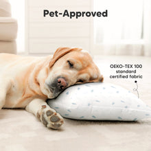 Load image into Gallery viewer, 2-Pack Toddler Pillows Without Pillowcase (Spacecrafts)
