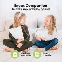 Load image into Gallery viewer, Mini Toddler Pillow With Pillowcase (Fox Tales)
