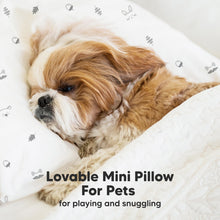 Load image into Gallery viewer, Mini Toddler Pillow With Pillowcase (Fox Tales)
