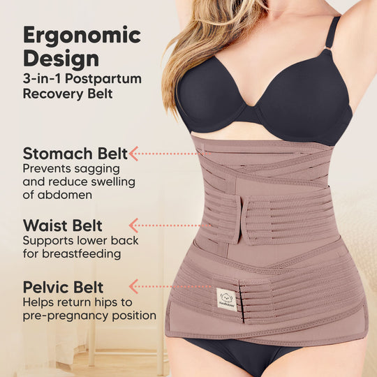 Revive 3-in-1 Postpartum Recovery Support Belt (Dusty Plum)