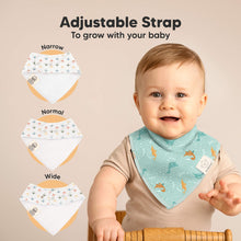 Load image into Gallery viewer, 8-Pack Organic Bandana Bibs (Mesozoic)
