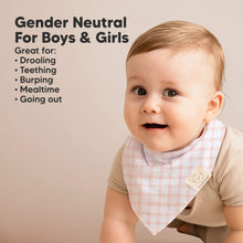 Load image into Gallery viewer, 8-Pack Organic Bandana Bibs (Prism)
