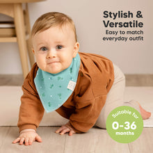 Load image into Gallery viewer, 8-Pack Organic Bandana Bibs (Cosmo)
