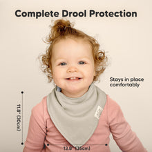 Load image into Gallery viewer, 8-Pack Organic Bandana Bibs (Spring)
