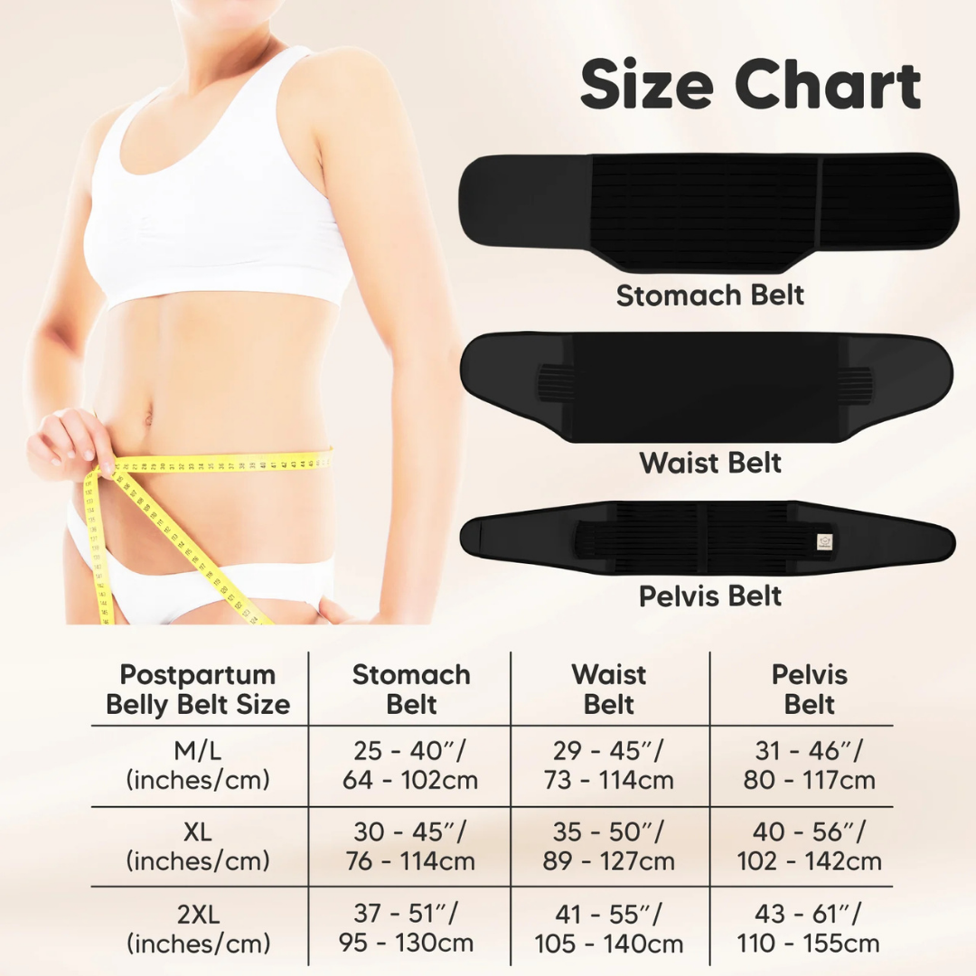 Size Chart

Stomach Belt
Waist Belt
Pelvis Belt

Postpartum Belly Belt Size:

M/L (inches/cm):
Stomach Belt: 25–40" (64–102cm)
Waist Belt: 29–45" (73–114cm)
Pelvis Belt: 31–46" (80–117cm)

XL (inches/cm):
Stomach Belt: 30–45" (76–114cm)
Waist Belt: 35–50" (89–127cm)
Pelvis Belt: 40–56" (102–142cm)

2XL (inches/cm):
Stomach Belt: 37–51" (95–130cm)
Waist Belt: 41–55" (105–140cm)
Pelvis Belt: 43–61" (110–155cm) 29846952607930
