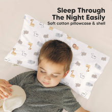 Load image into Gallery viewer, Buddy Toddler Pillow (Escapade)
