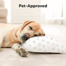 Load image into Gallery viewer, Buddy Toddler Pillow (KeaDoodles)
