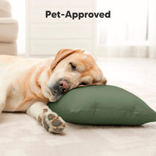Load image into Gallery viewer, Buddy Toddler Pillow (Jungle Green)
