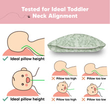 Load image into Gallery viewer, Jumbo Toddler Pillow with Pillowcase (DinoDood)
