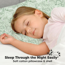 Load image into Gallery viewer, Jumbo Toddler Pillow with Pillowcase (DinoDood)
