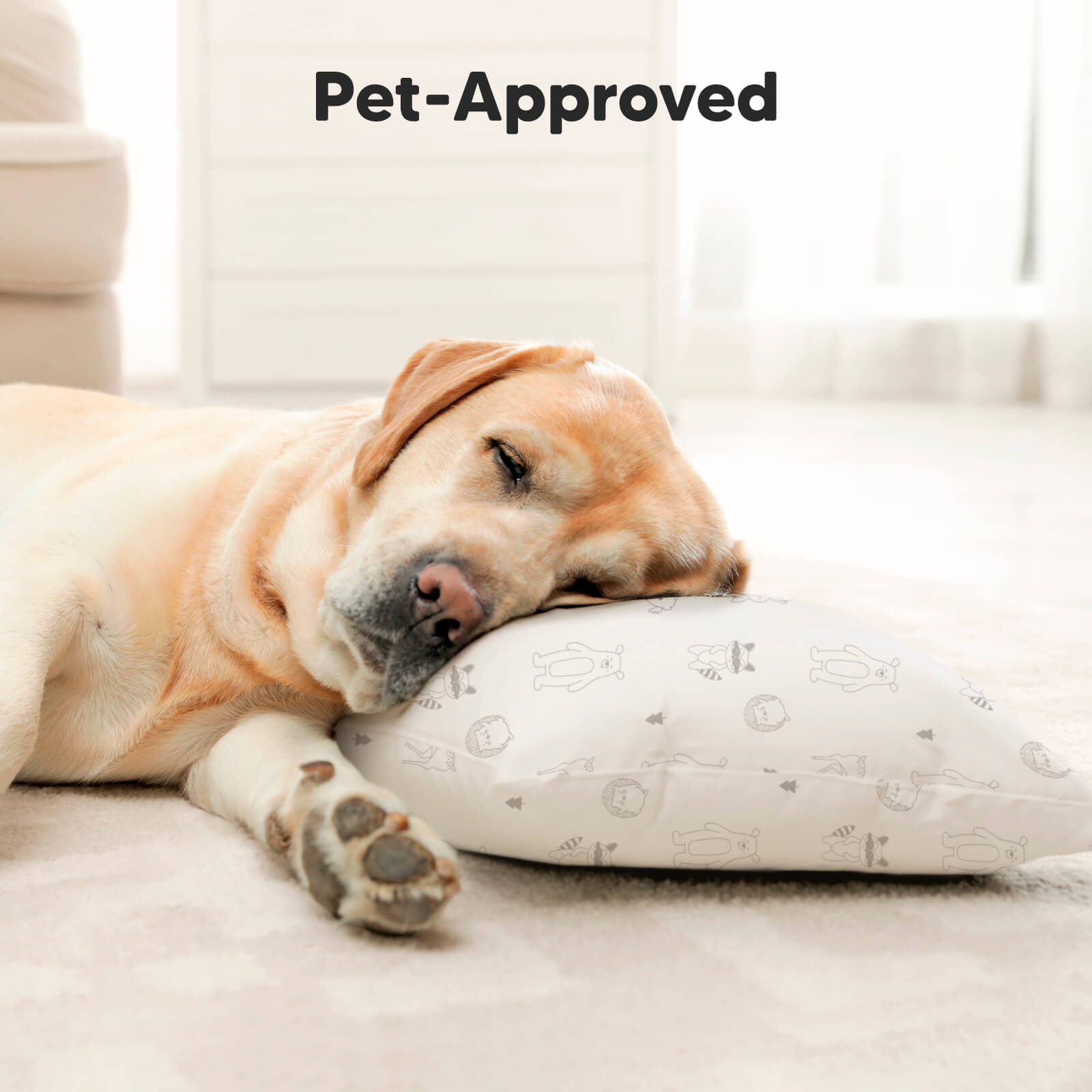 Pet-Approved
 26524494102714