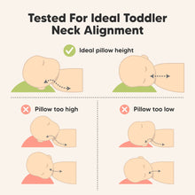 Load image into Gallery viewer, Jumbo Toddler Pillow with Pillowcase (Barn)
