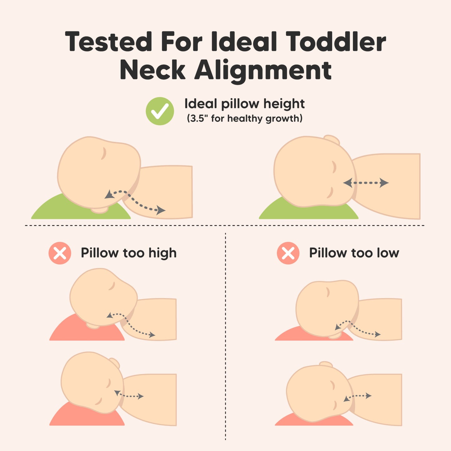 Tested for ideal toddler neck alignment with ideal pillow height of 3.5 inches.
 30709983936698