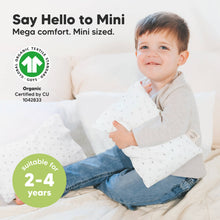Load image into Gallery viewer, Mini Toddler Pillow With Pillowcase
