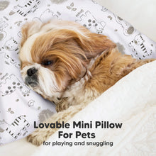 Load image into Gallery viewer, Mini Toddler Pillow With Pillowcase (KeaSafari)
