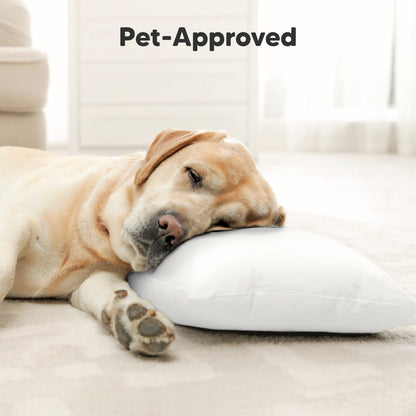 Pet-Approved
 26870941810874