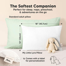 Load image into Gallery viewer, My Little Lyra Pillow (Flora Vale)
