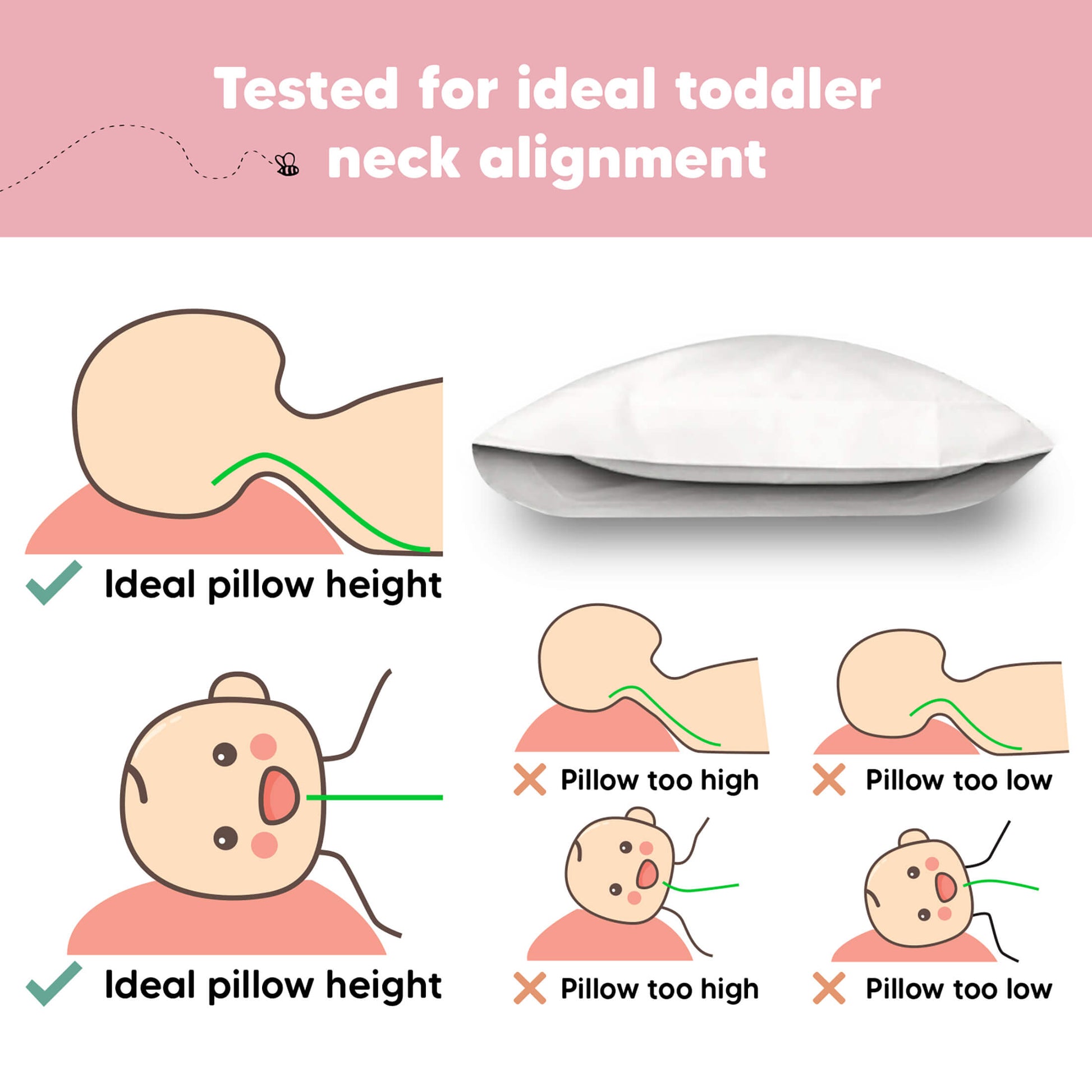 Tested for ideal toddler neck alignment. Ideal pillow height 30997431550138