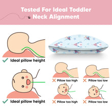 Load image into Gallery viewer, Toddler Pillow with Pillowcase (Enchanted Frost)
