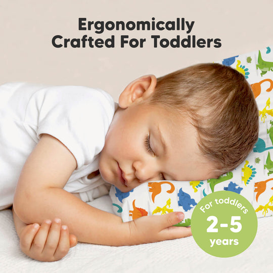 Toddler Pillow with Pillowcase (Happy Dino)