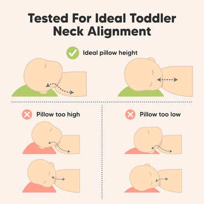 Tested for ideal toddler neck alignment with a balanced height that is neither too high nor too low.
 27542826844346