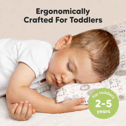 Ergonomically crafted for toddlers, this dreamy pillow provides the ideal support and comfort for ages 2–5.
 26145140179130