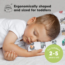 Load image into Gallery viewer, Toddler Pillow with Pillowcase (Kea123)
