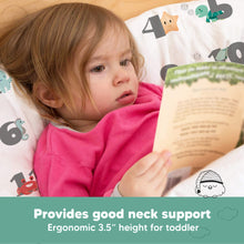 Load image into Gallery viewer, Toddler Pillow with Pillowcase (Kea123)
