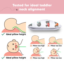 Load image into Gallery viewer, Toddler Pillow with Pillowcase (Kea123)
