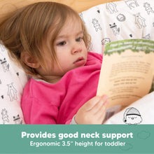 Load image into Gallery viewer, Toddler Pillow with Pillowcase (KeaFriends)
