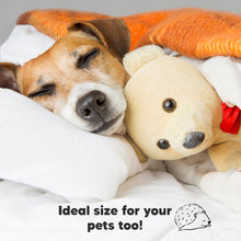 Load image into Gallery viewer, Ideal size for your pets 
