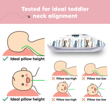 Load image into Gallery viewer, Toddler Pillow with Pillowcase (Vroom)
