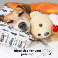 Load image into Gallery viewer, Toddler Pillow with Pillowcase (Vroom)
