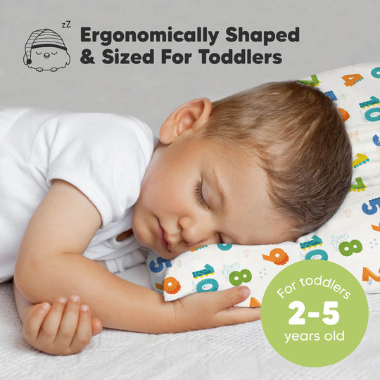 Toddler Pillow with Pillowcase (Dino123)